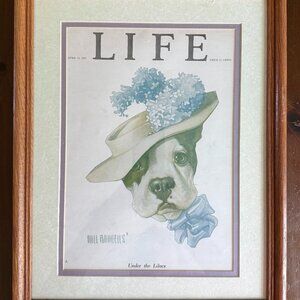 Framed Reprint of 1922 Life Mag Cover By Will Runnells with a Boston Terrier
